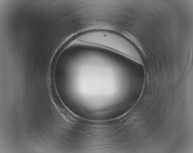 X0000073840436200608101031