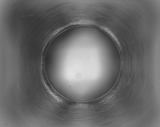 X0000073840437200608101031