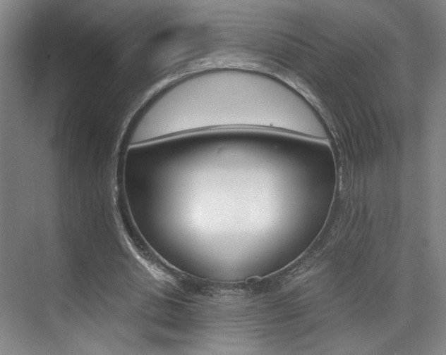 X0000073840438200608101031