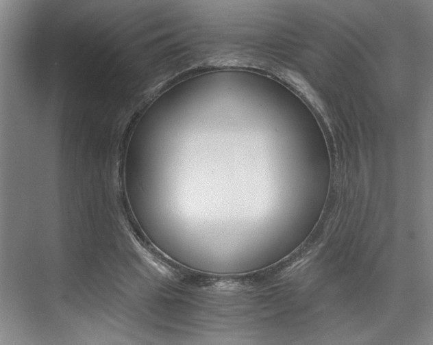 X0000073840441200608101031