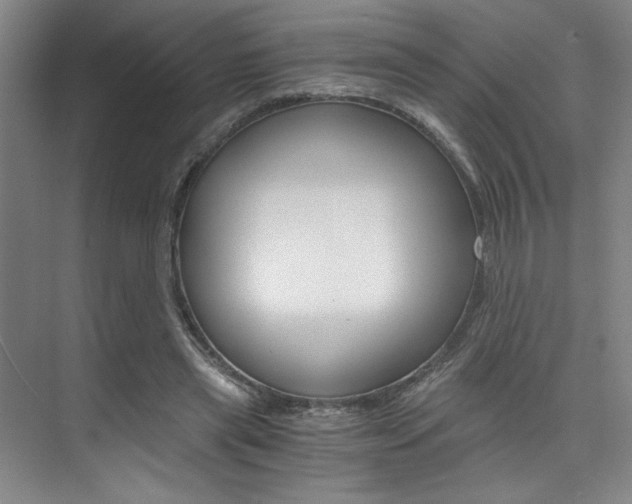 X0000073840445200608101031