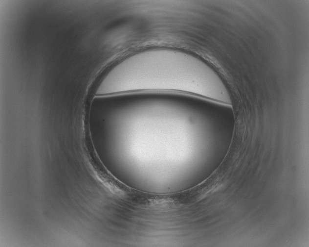 X0000073840446200608101031