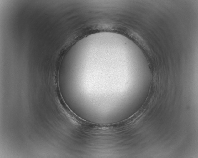 X0000073840449200608101031