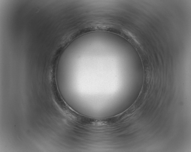 X0000073840451200608101031
