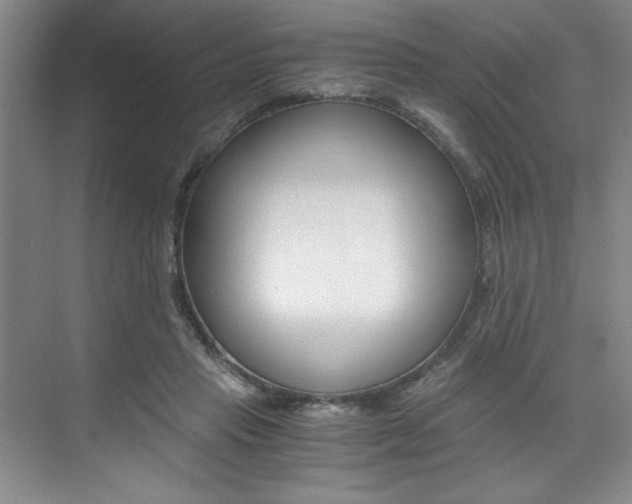 X0000073840453200608101032