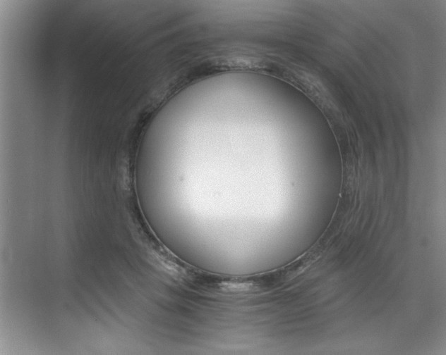 X0000073840457200608101032