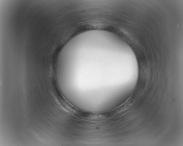 X0000073840459200608101032