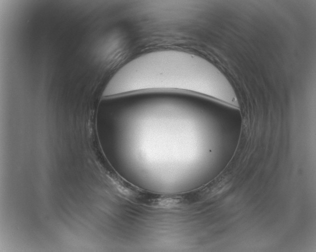 X0000073840462200608101032