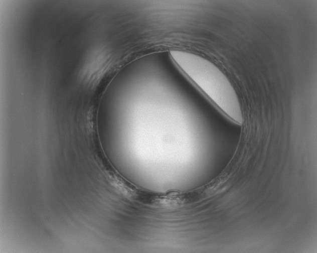 X0000073840466200608101032