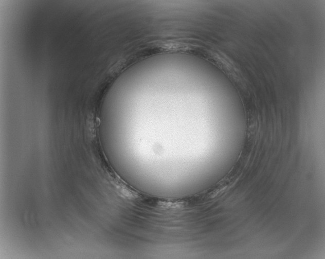 X0000073840469200608101032