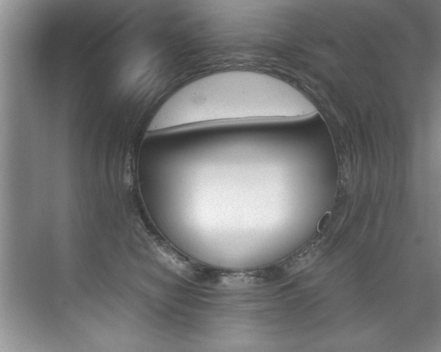 X0000073840470200608101032