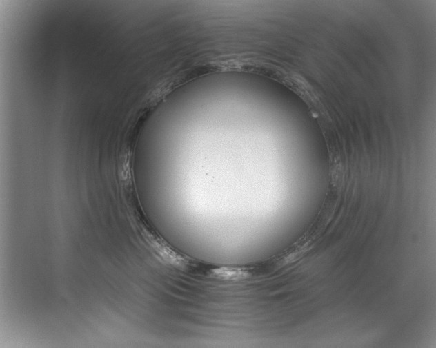 X0000073840477200608101032