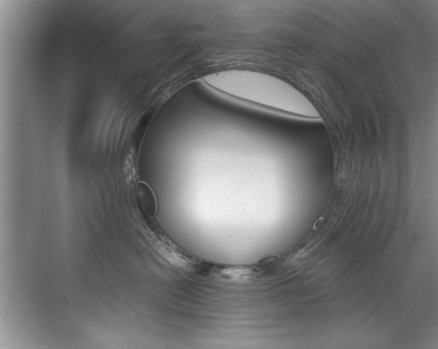 X0000073840478200608101032