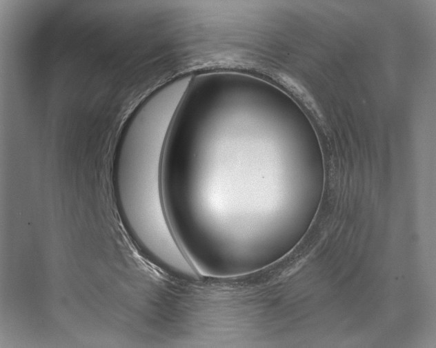 X0000073840481200608101031