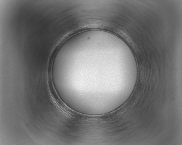 X0000073840482200608101031