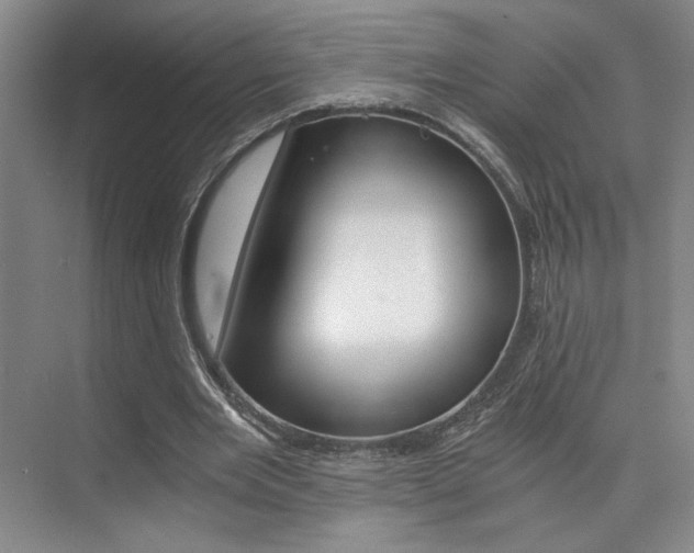 X0000073840485200608101031