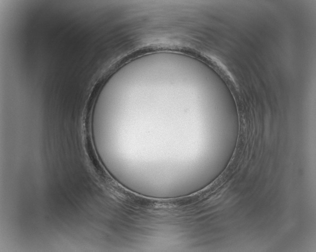 X0000073840487200608101031