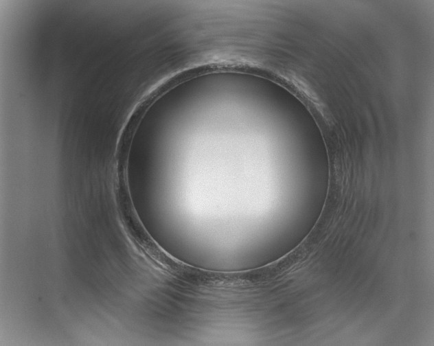 X0000073840488200608101031