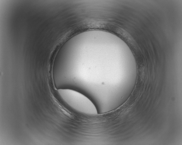 X0000073840490200608101031