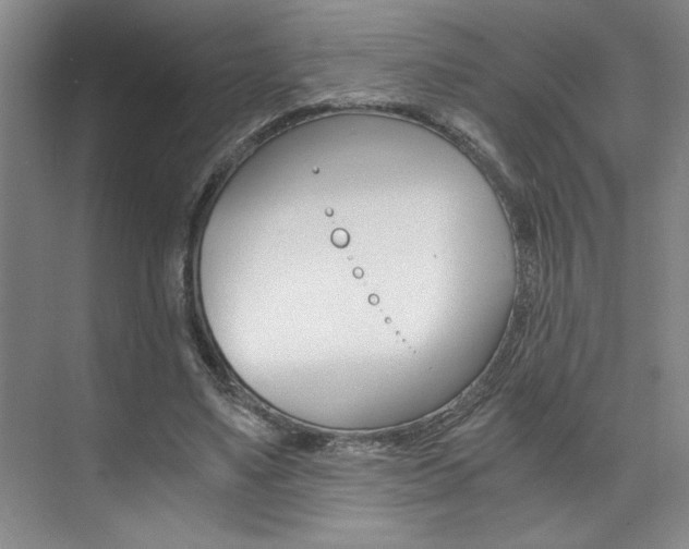 X0000073840491200608101031