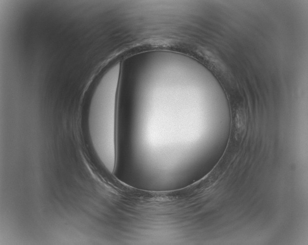 X0000073840492200608101031