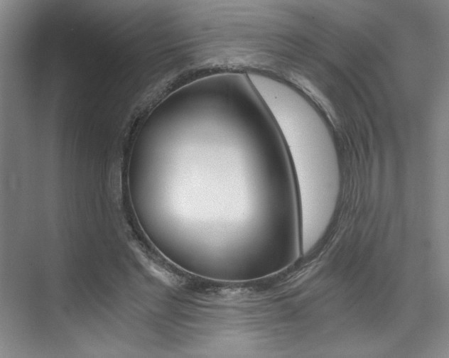 X0000073840493200608101031
