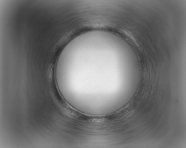 X0000073840495200608101031