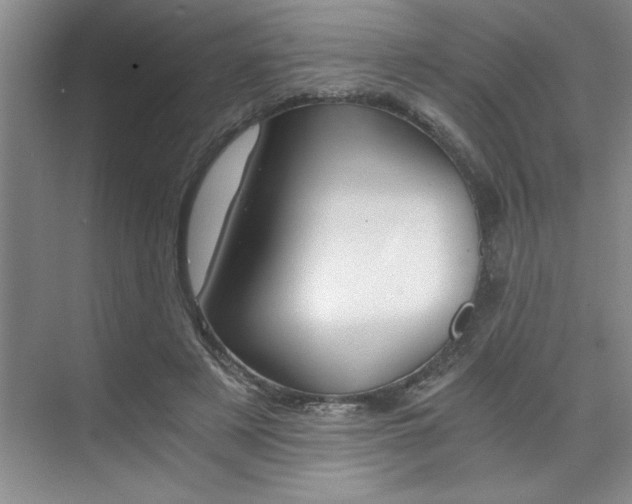 X0000073840497200608101031