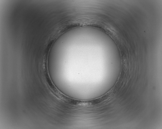 X0000073840499200608101031