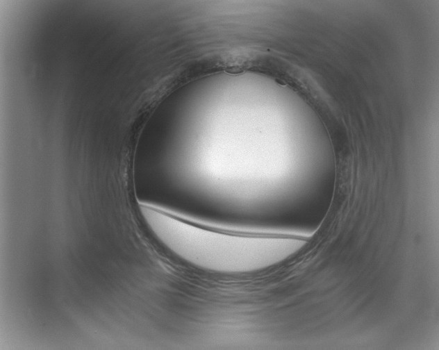 X0000073840505200608101031