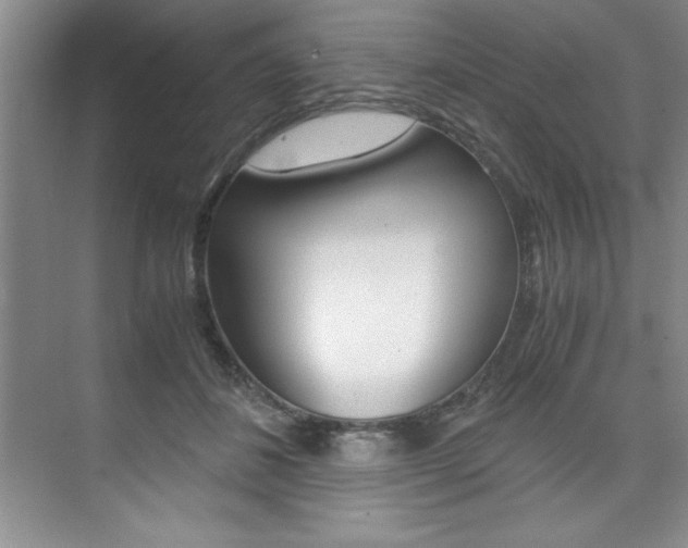 X0000073840508200608101031