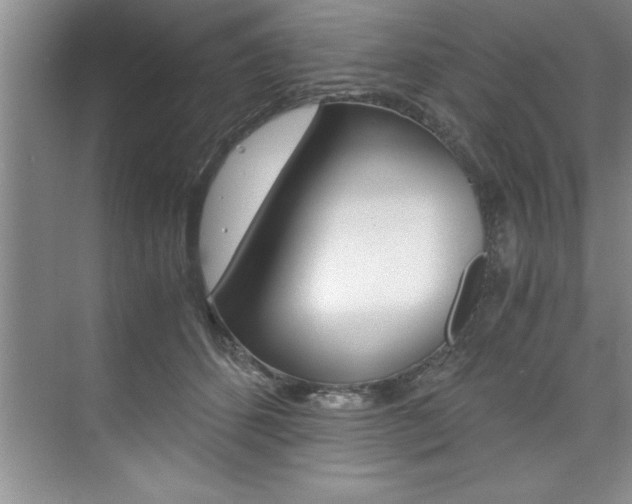 X0000073840512200608101031