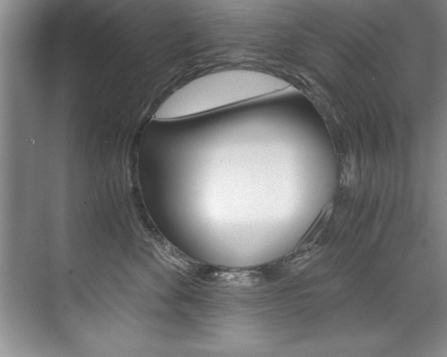 X0000073840524200608101030