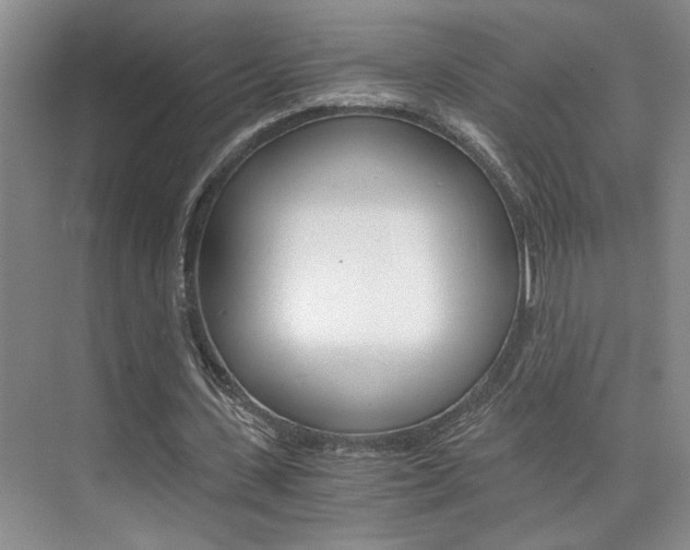 X0000073840531200608101030