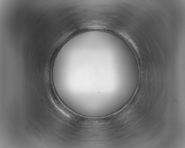 X0000073840533200608101030