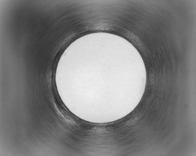 X0000073840534200608101030