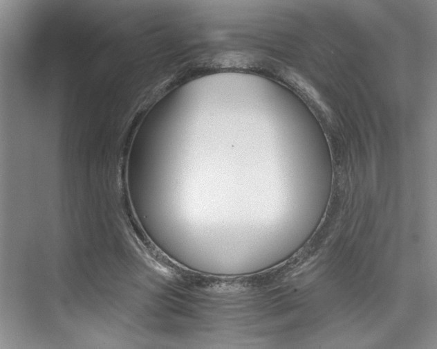 X0000073840537200608101030