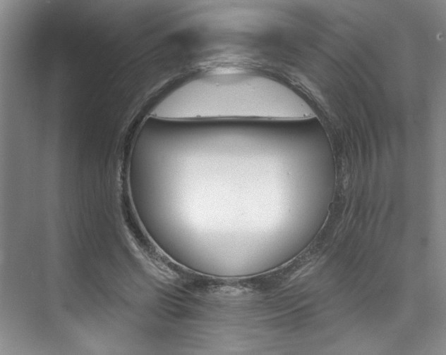 X0000073840542200608101030