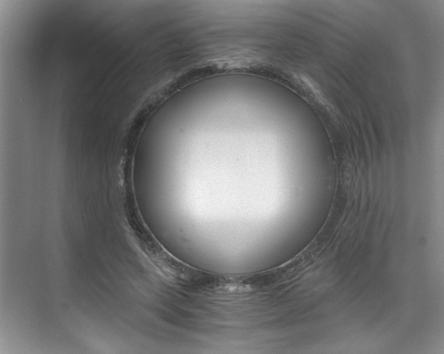 X0000073840543200608101030
