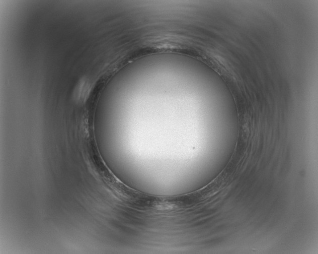 X0000073840547200608101030