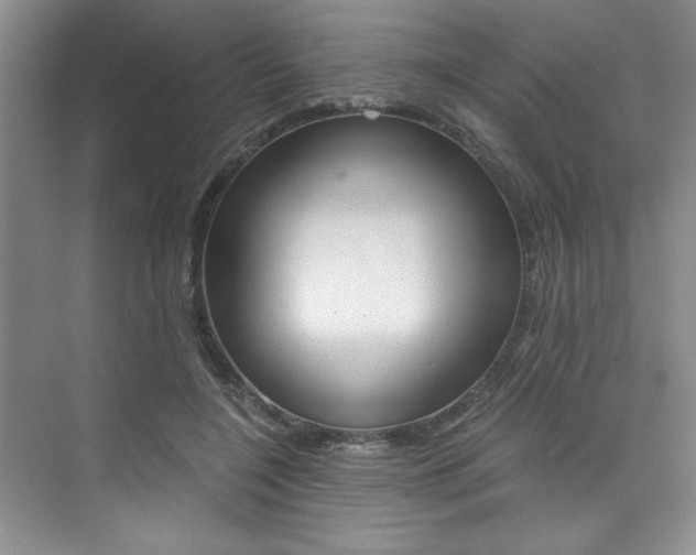X0000073840548200608101030