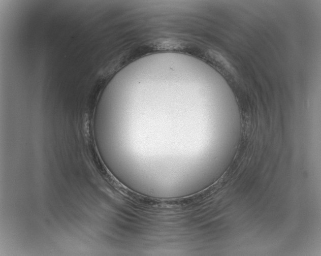 X0000073840549200608101030