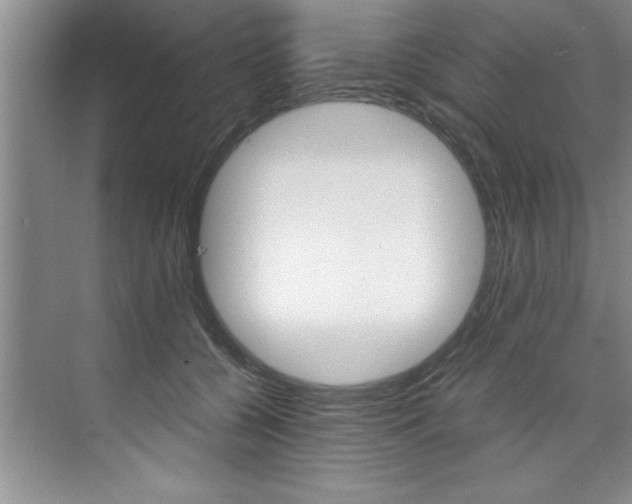 X0000073840560200608101030