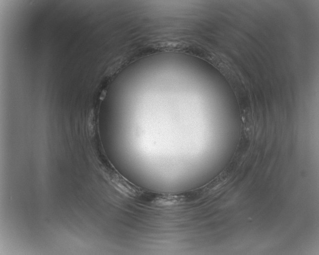 X0000073840563200608101030