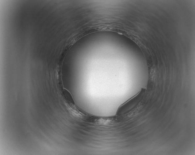 X0000073840570200608101030
