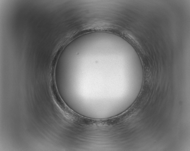 X0000073840586200608101029