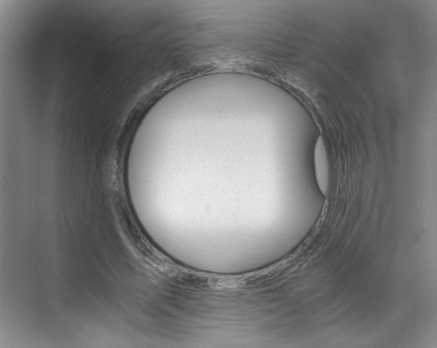 X0000073840587200608101029