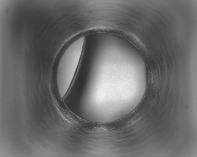 X0000073840588200608101029