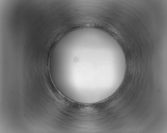 X0000073840594200608101029