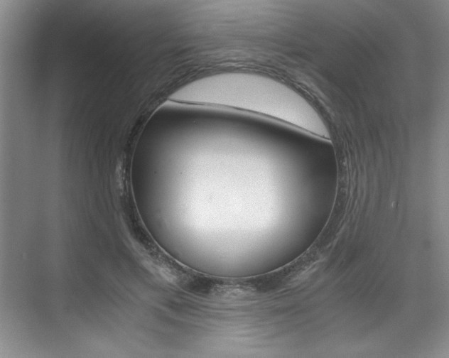 X0000073840597200608101029